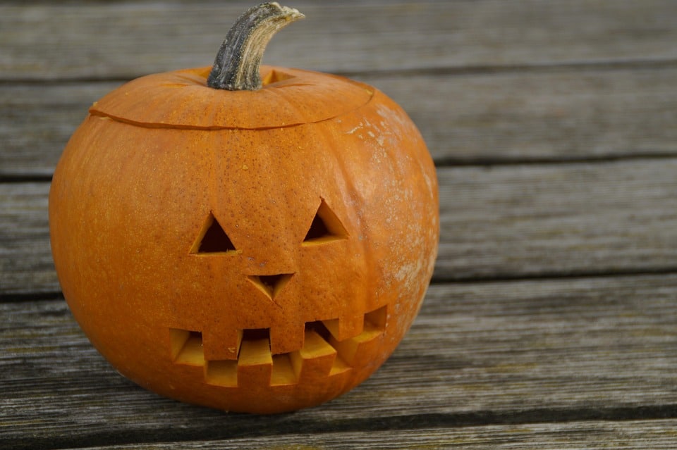 pumpkin 201116 960 720