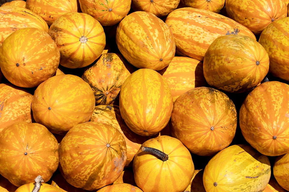 pumpkins 3704022 960 720
