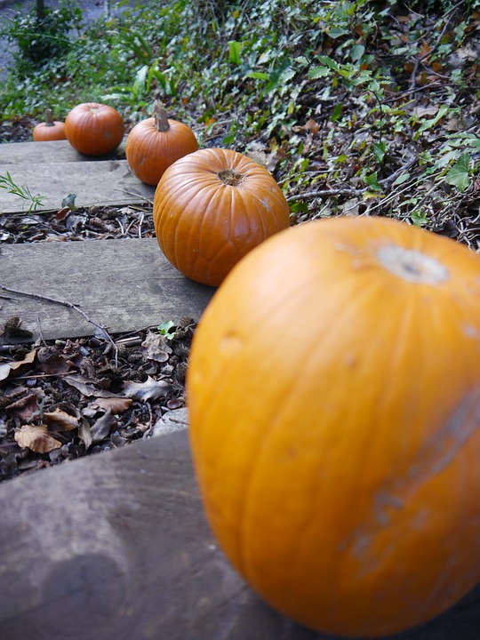 pumpkins 7570403 960 720