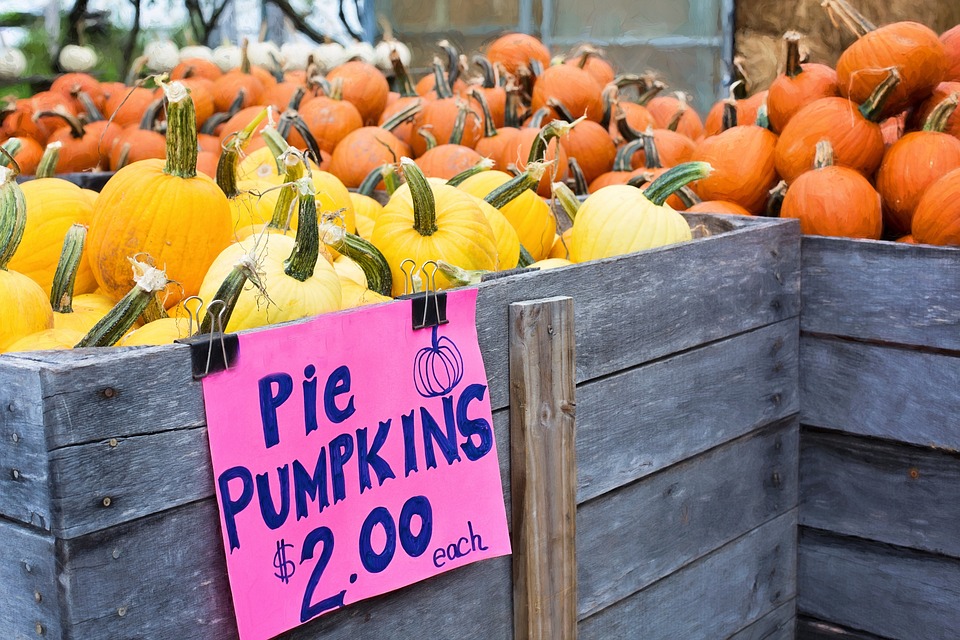 pumpkins 936517 960 720